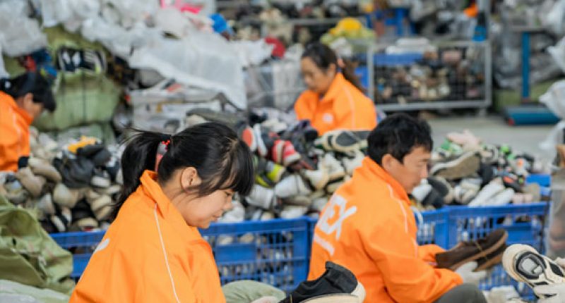 100% Dedicated Handpicking