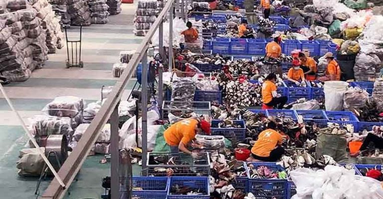 shoes sorting line (1)